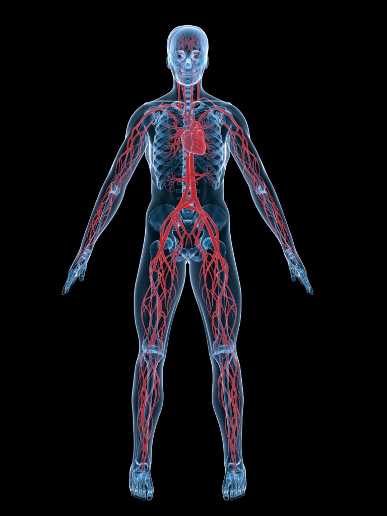 Maladies Cardio vasculaires Centre Hypertension Paris maladies-cardio-vasculaires-centre-hypertension-paris